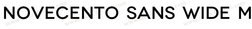 Novecento Sans Wide Medium字体转换